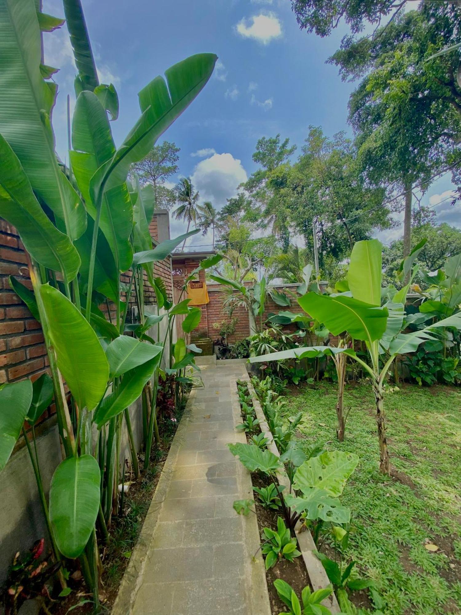 Guest house Tegal Harum With Jungle View