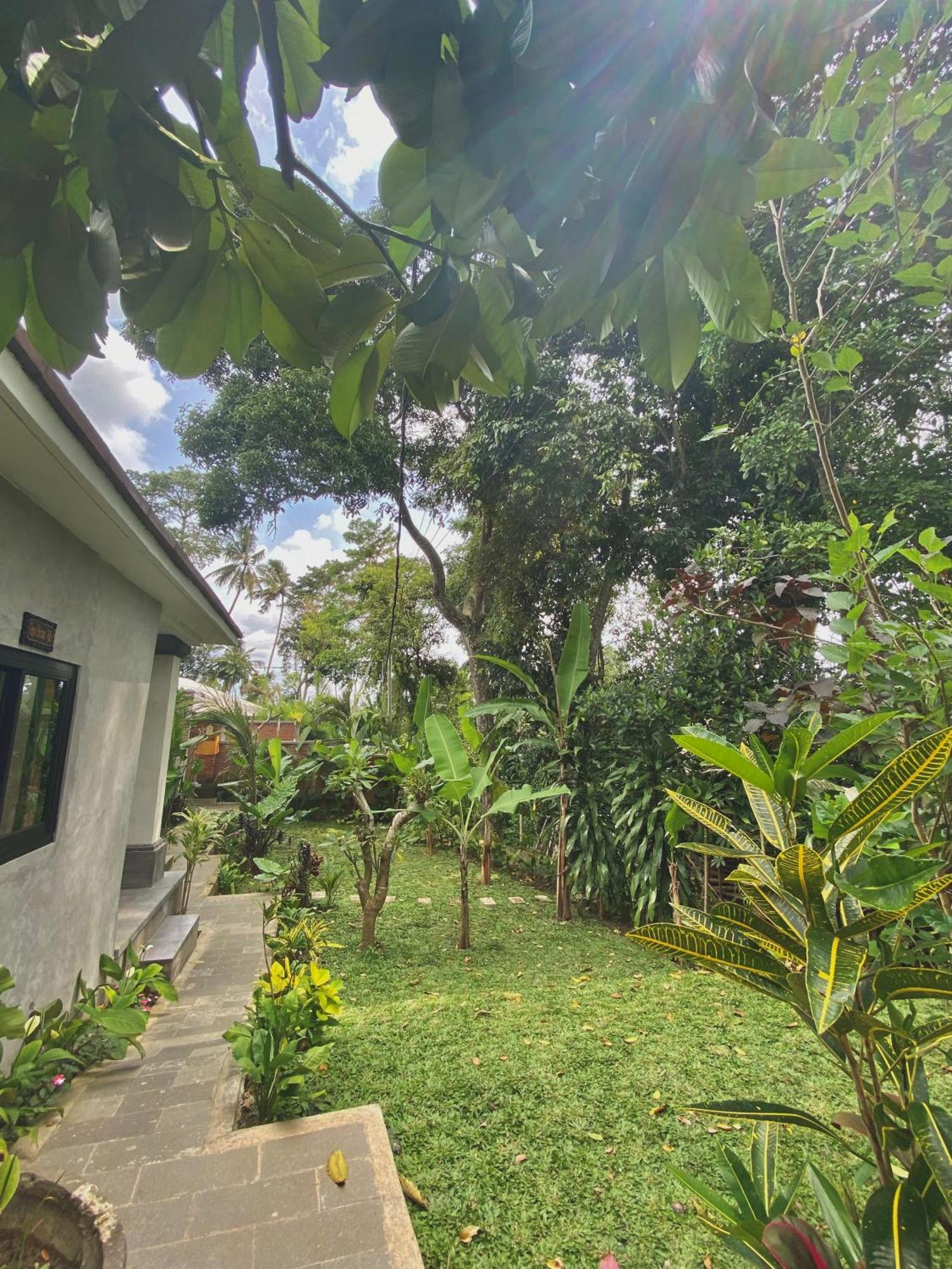 Guest house Tegal Harum With Jungle View Ubud (Bali)