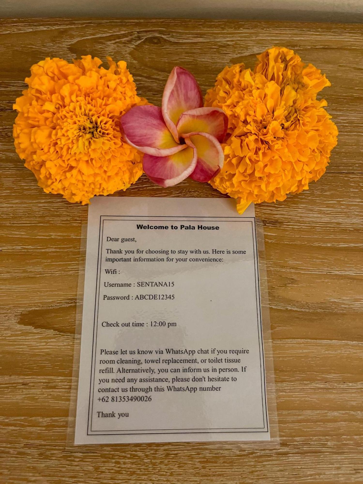 Homestay Pala House Ubud (Bali)