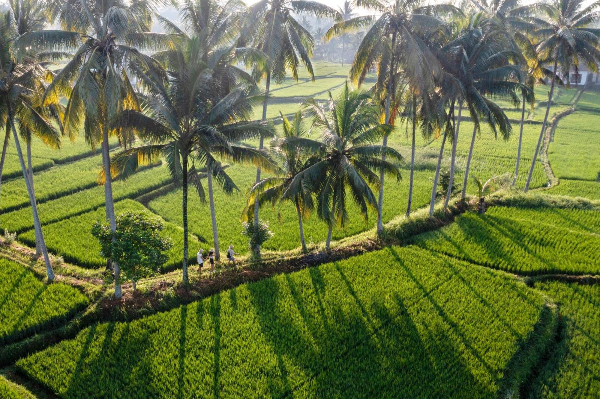 Wooden Ganeca By Pramana Pousada *