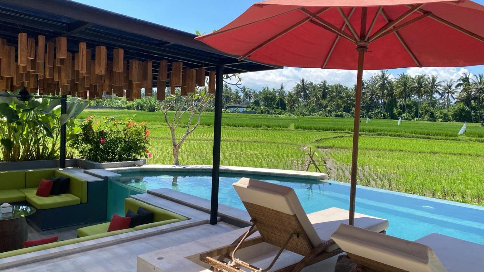 Cakra - 4 Bedroom Luxury With Infinity Pool And Paddy Field View Ubud (Bali)