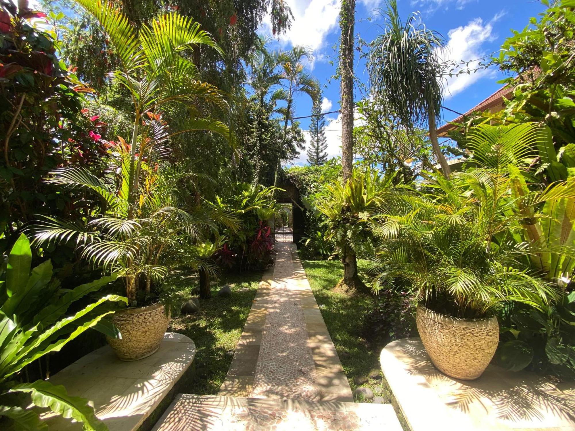 Akasha New Earth Haven Guest house *