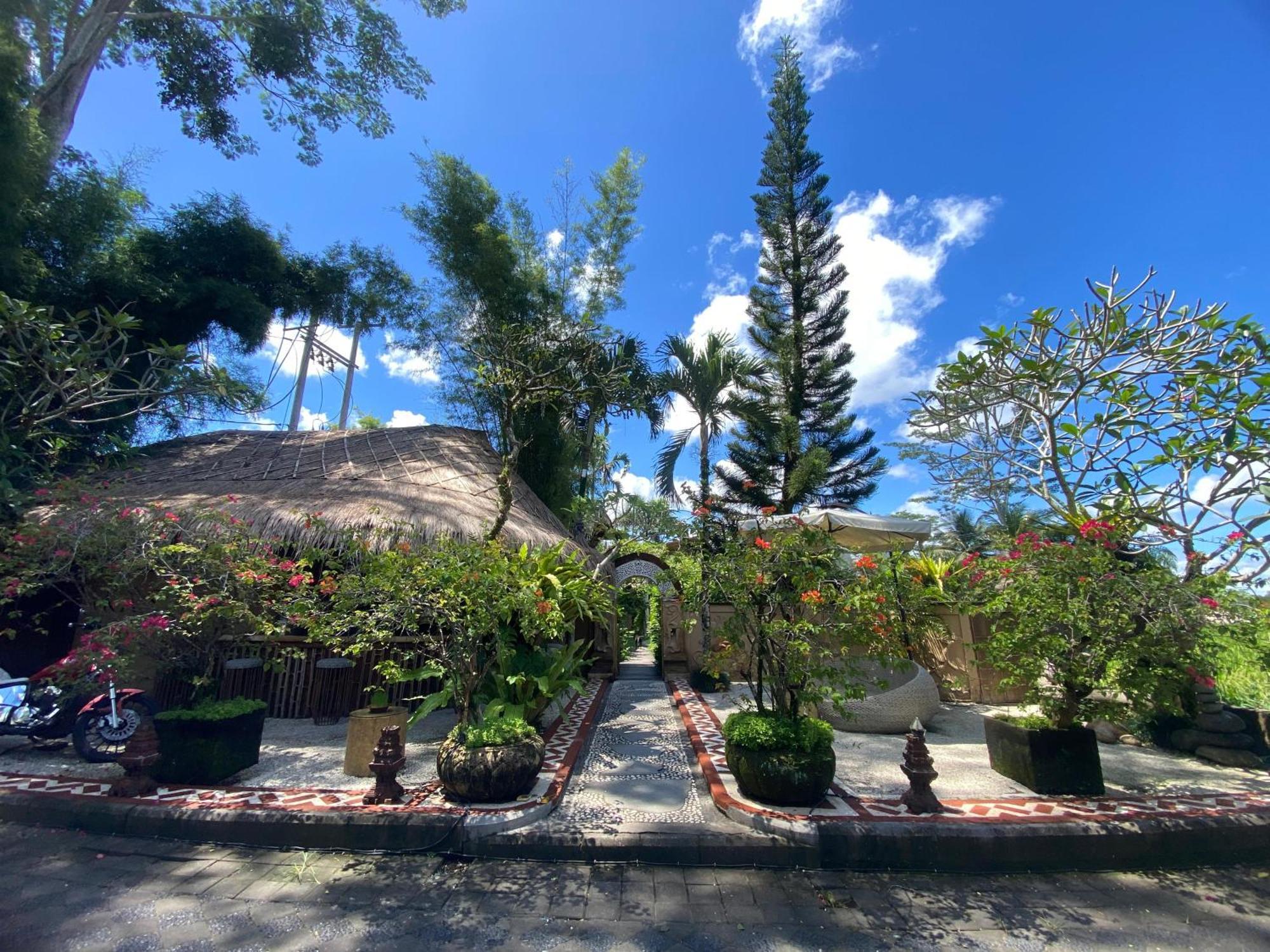 Akasha New Earth Haven Guest house *