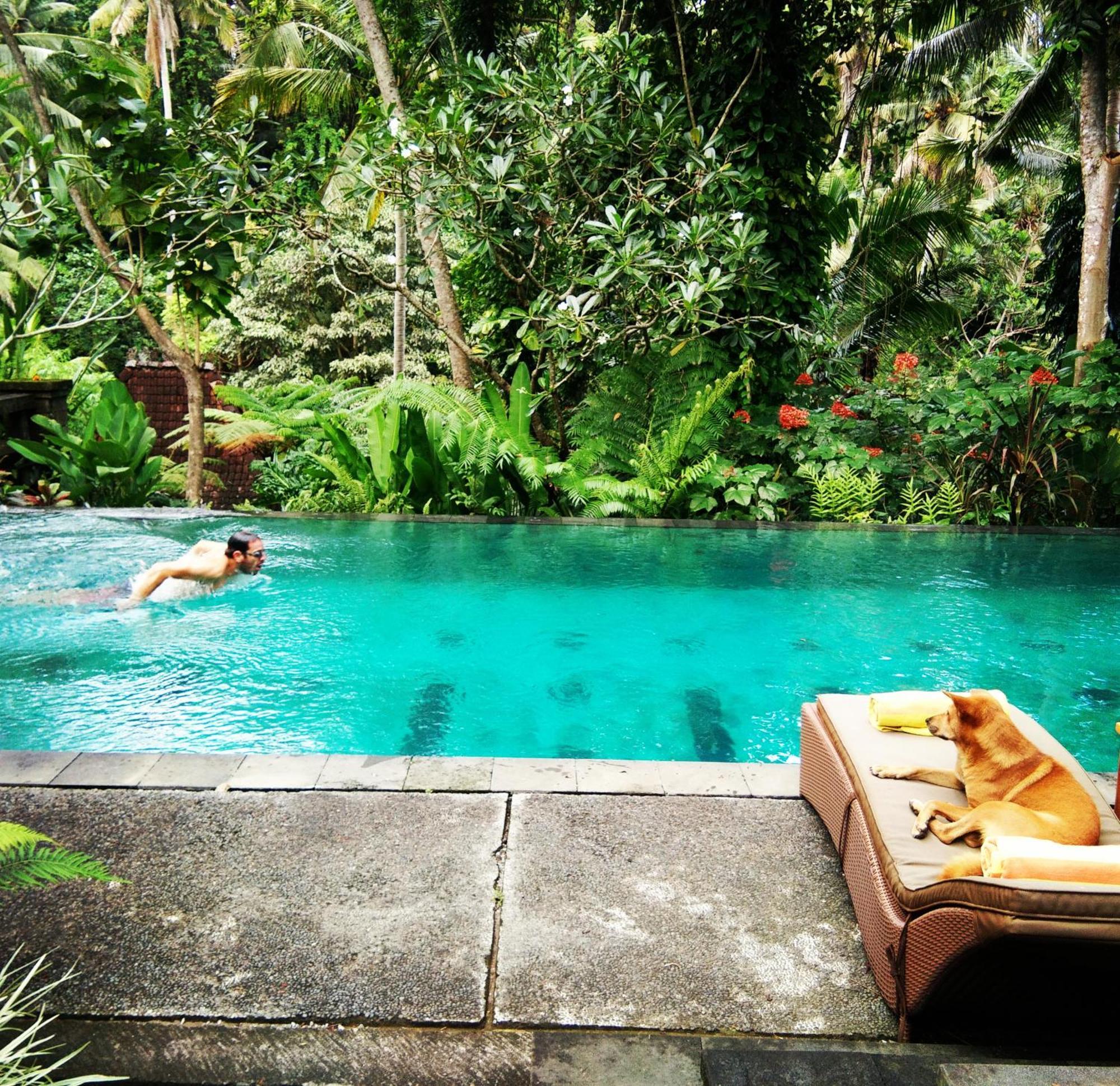 Beji Indah Ubud (Bali)