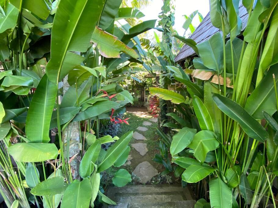 Villa 5br Private Pool,stunning View In Ubud (Bali)