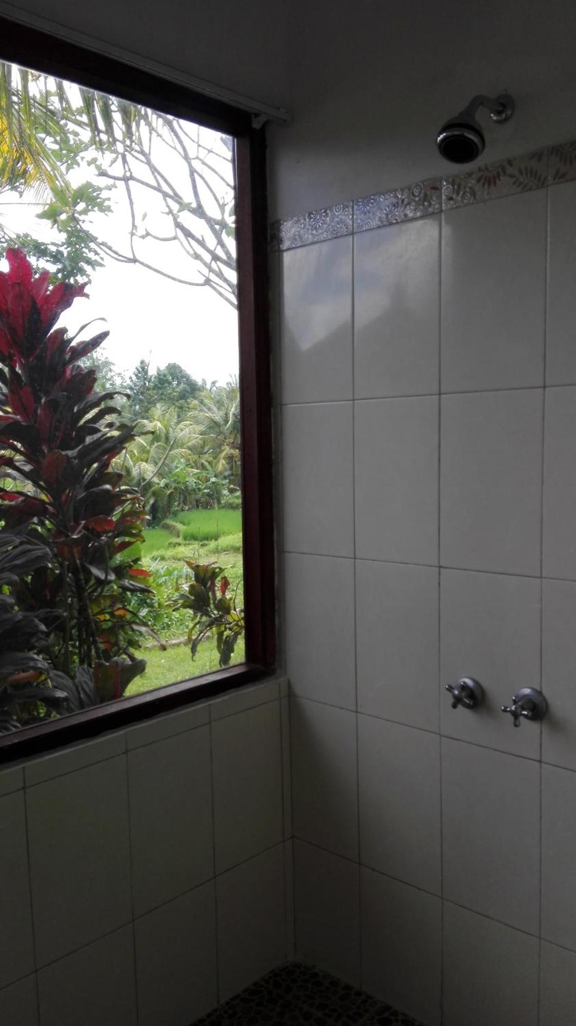 Wonder-land 3* Ubud (Bali)