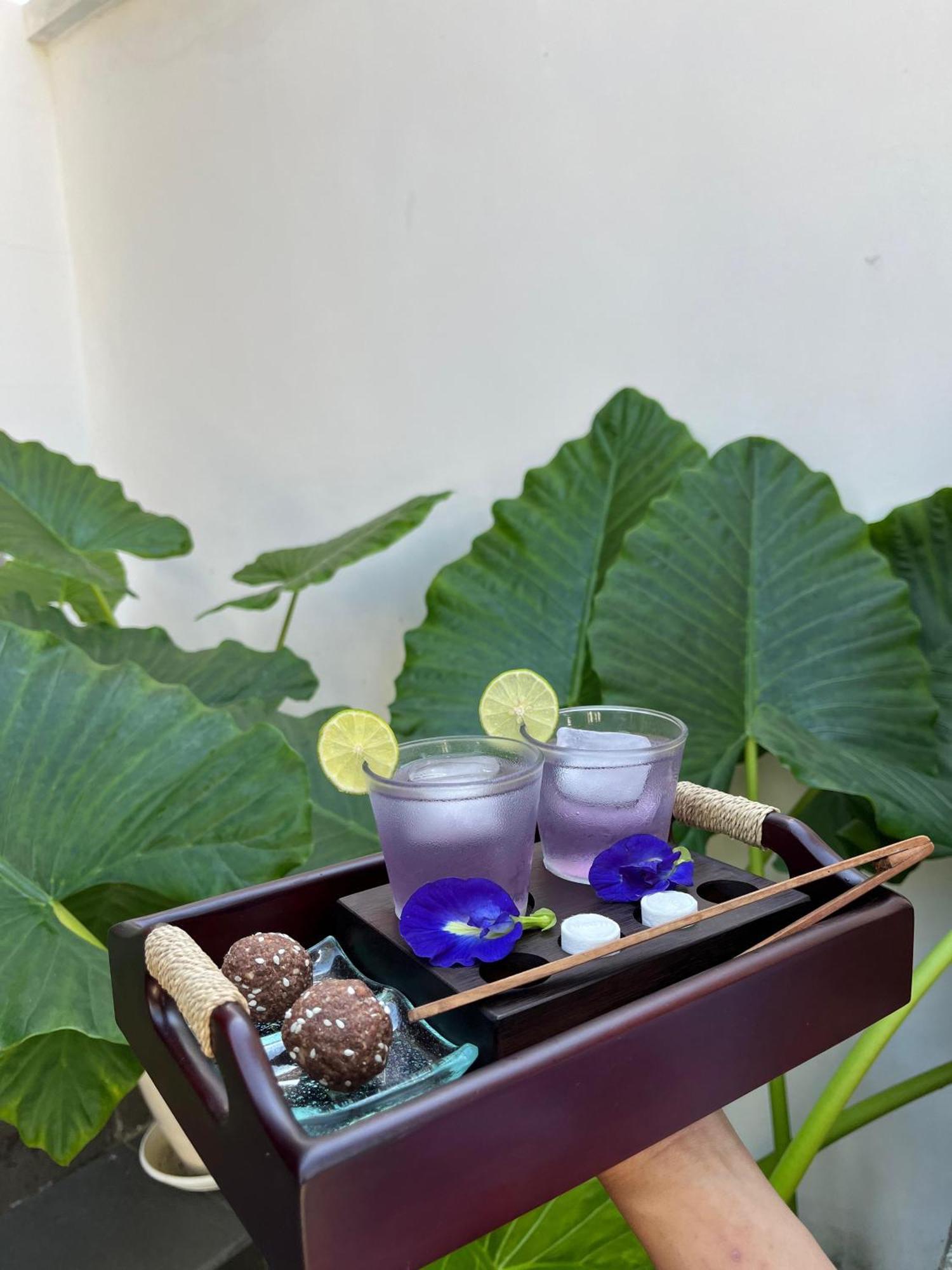 Tattva Retreat & Wellness Hotel