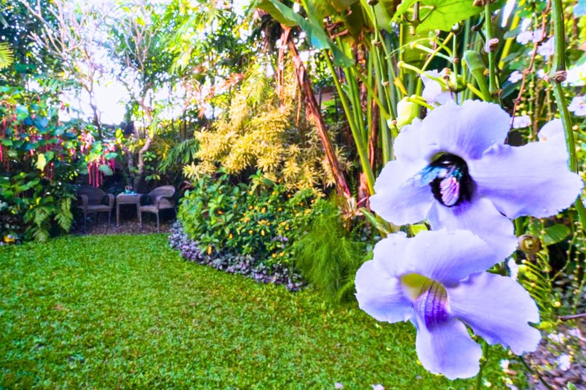 Crocus 2 Bedroom Private Pool An07 Ubud (Bali)