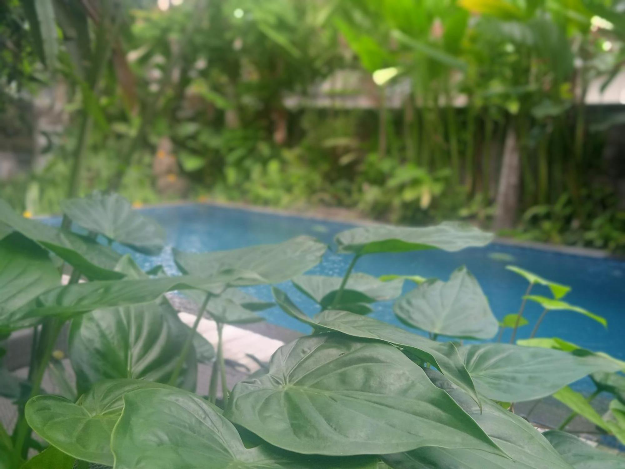 Tanah Semujan Gasthof Ubud