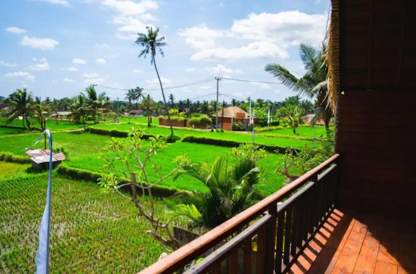 Akasha Bungalows Casa de férias Ubud