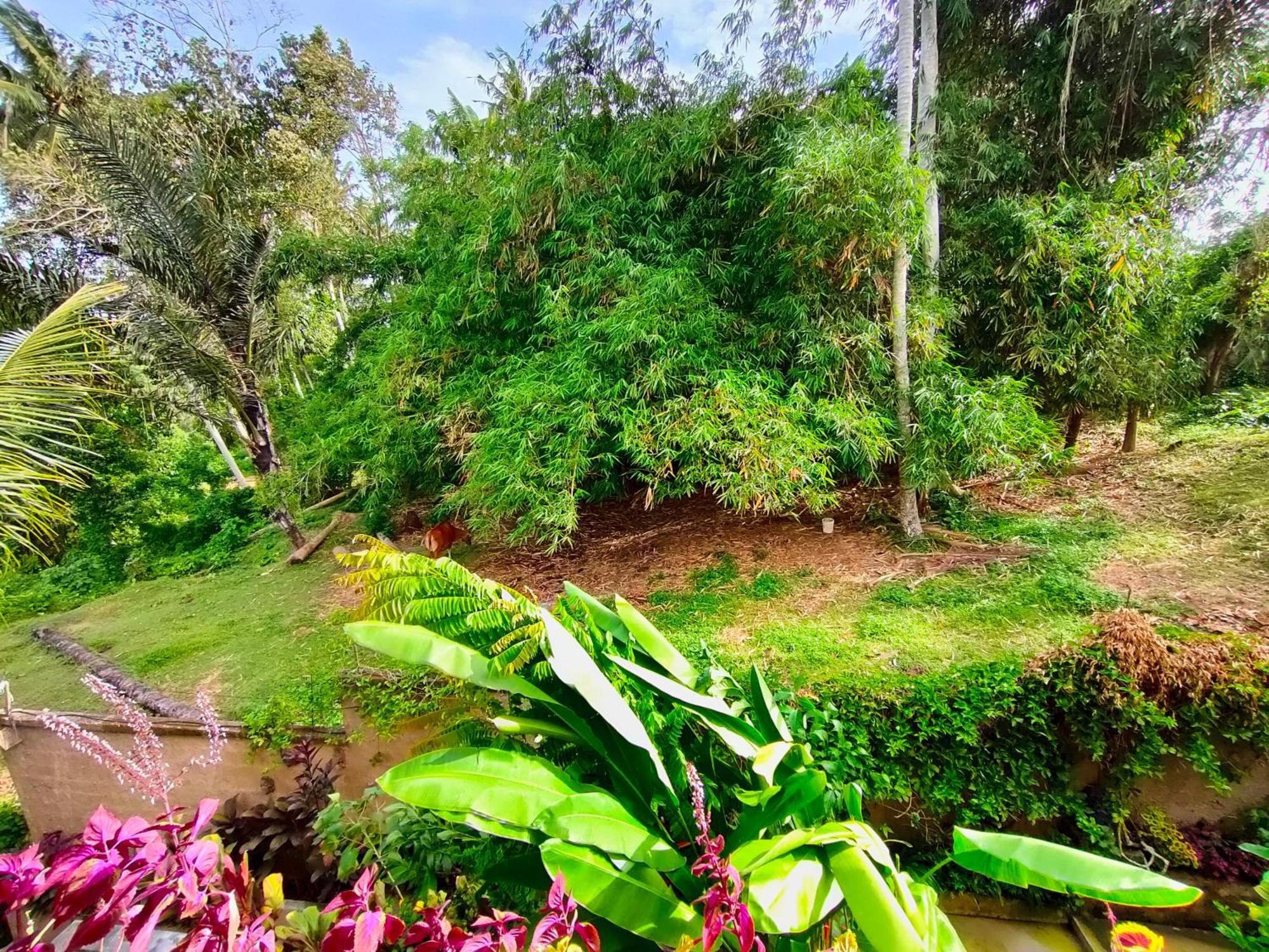 D'nanda 2* Ubud (Bali)