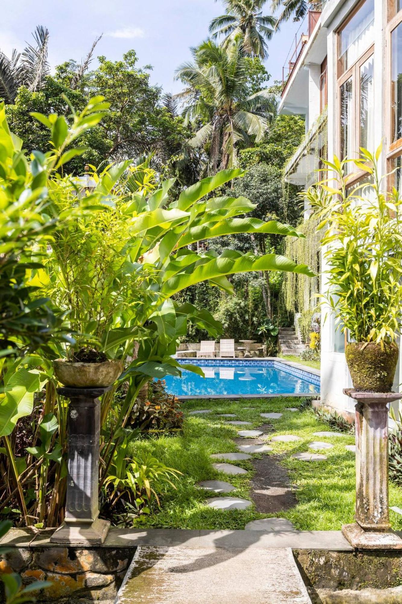 Made Punia's Jungle * Ubud