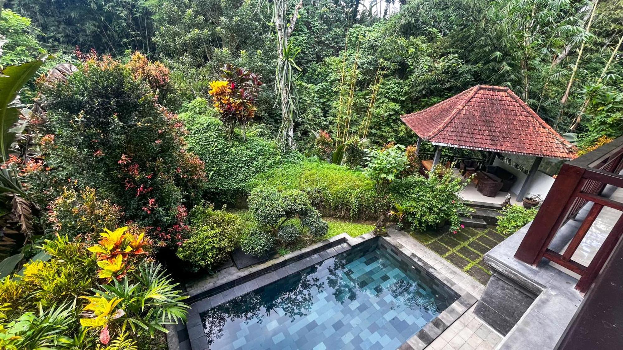 Nadiya Jungle