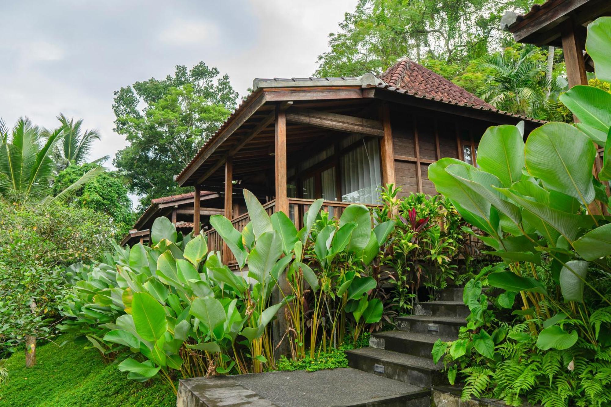 Pertiwi Bisma 1