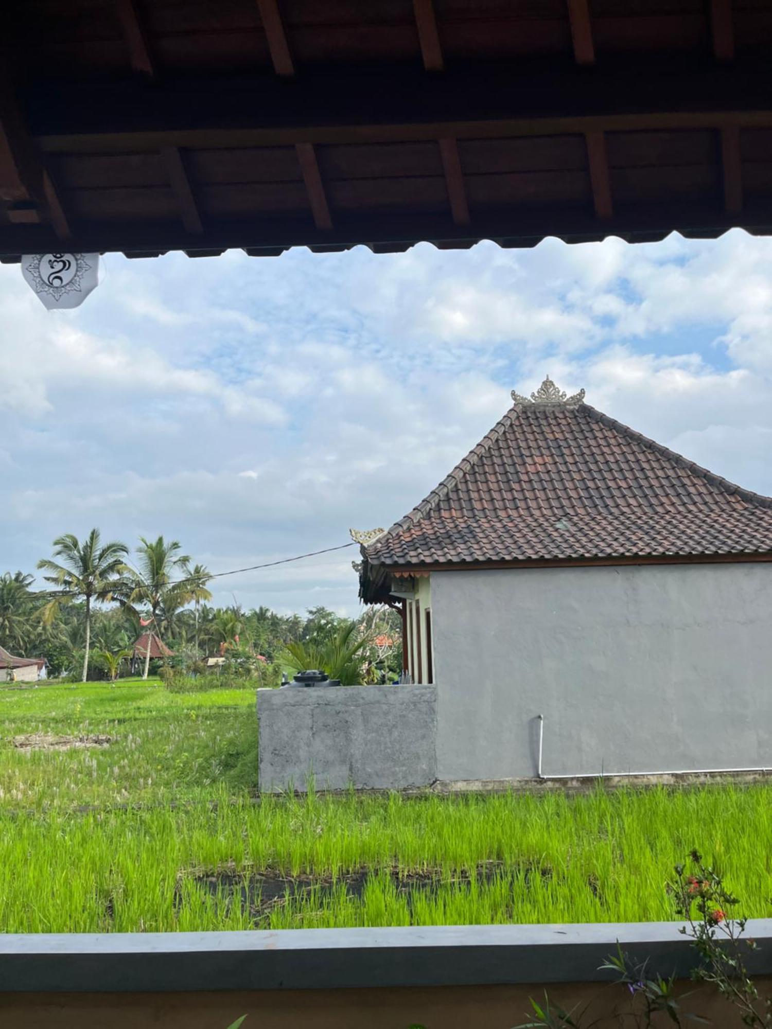 Villa Nano Ari House