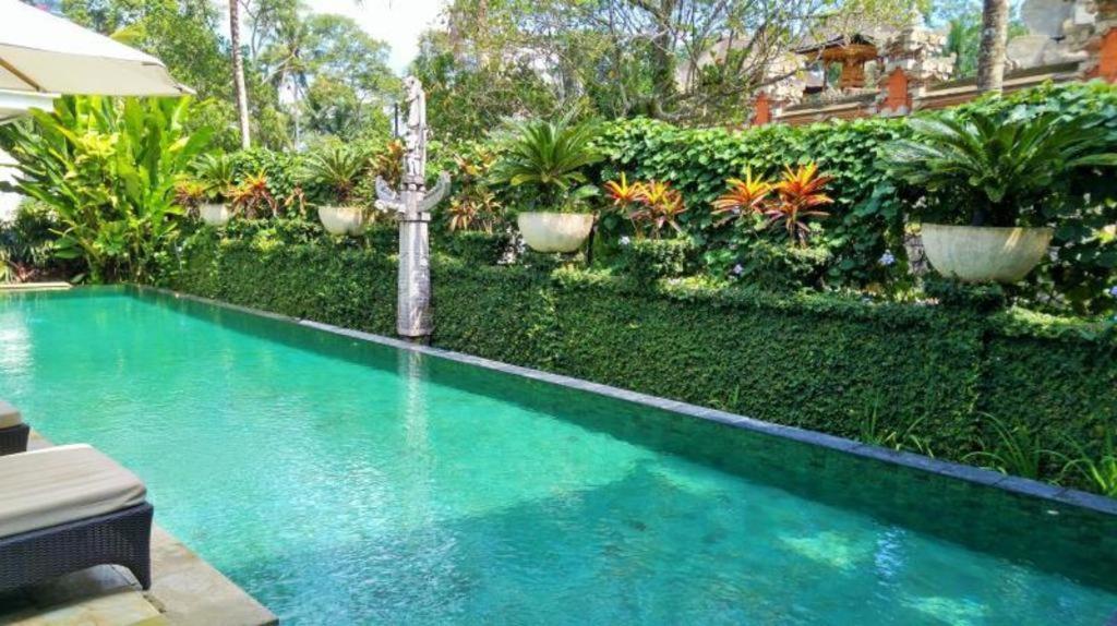 Guest house Saraswati Ubud (Bali)