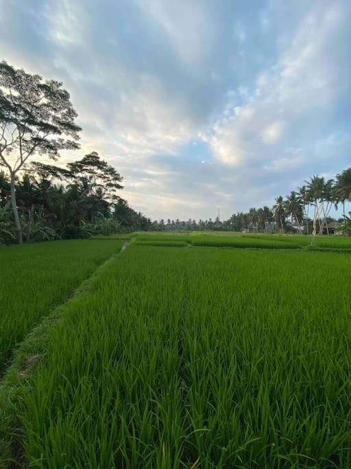 Sampurna