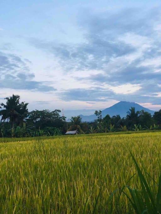 Villa Sampurna Ubud (Bali)