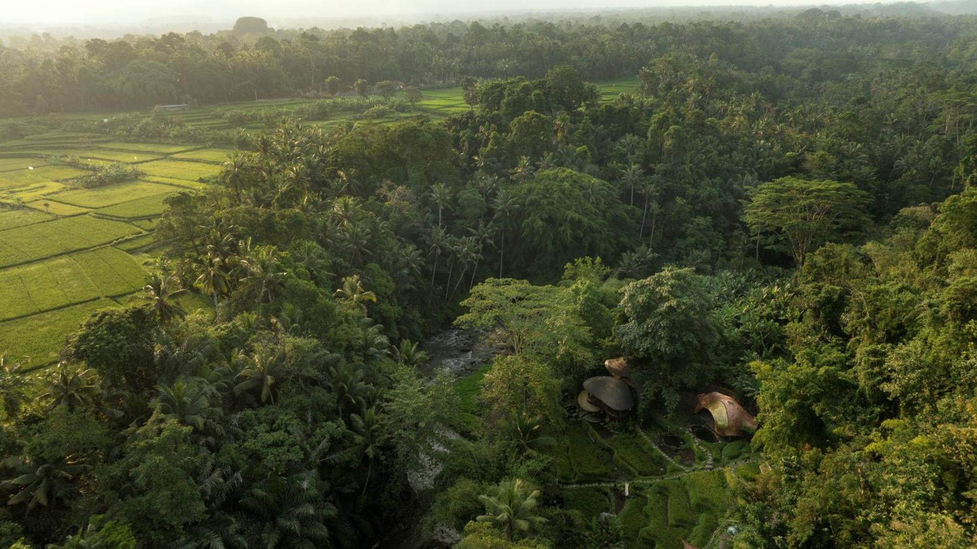 Resort Bambu Indah