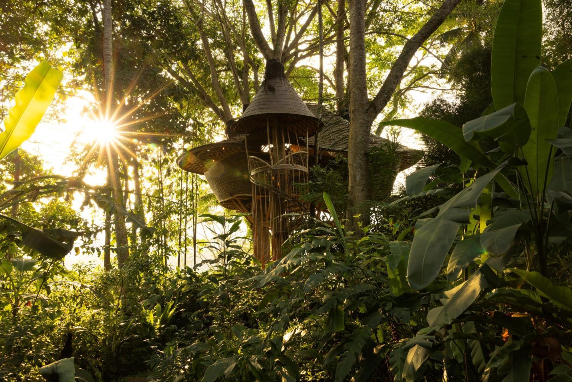 Bambu Indah