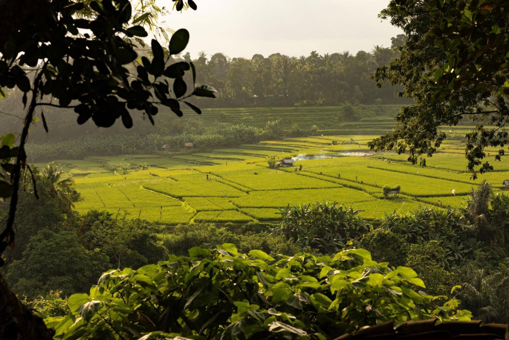 Bambu Indah Resort Ubud (Bali)