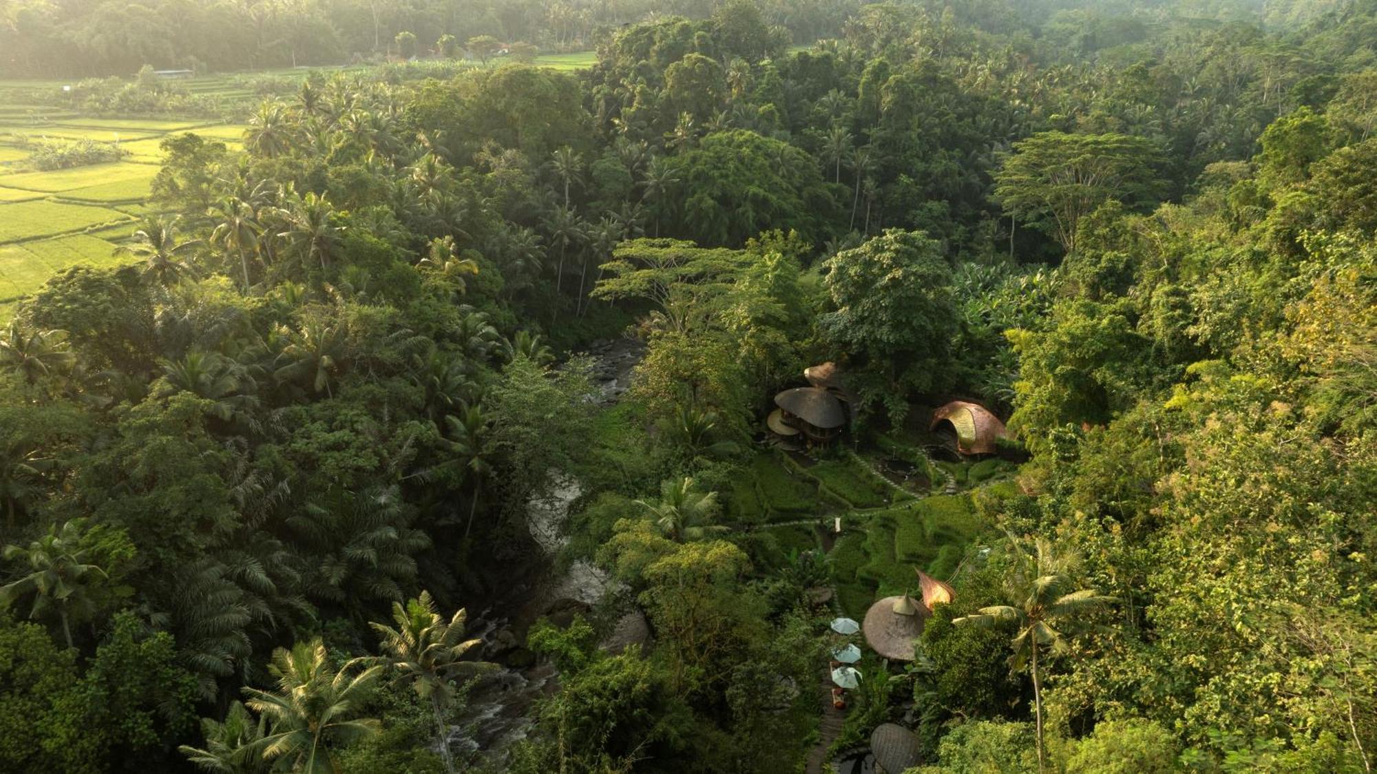 Bambu Indah Ubud (Bali)