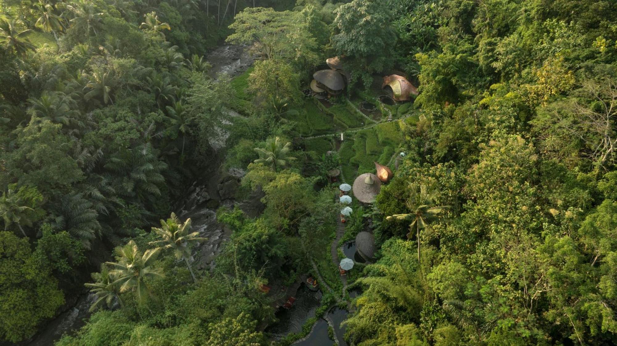 Bambu Indah