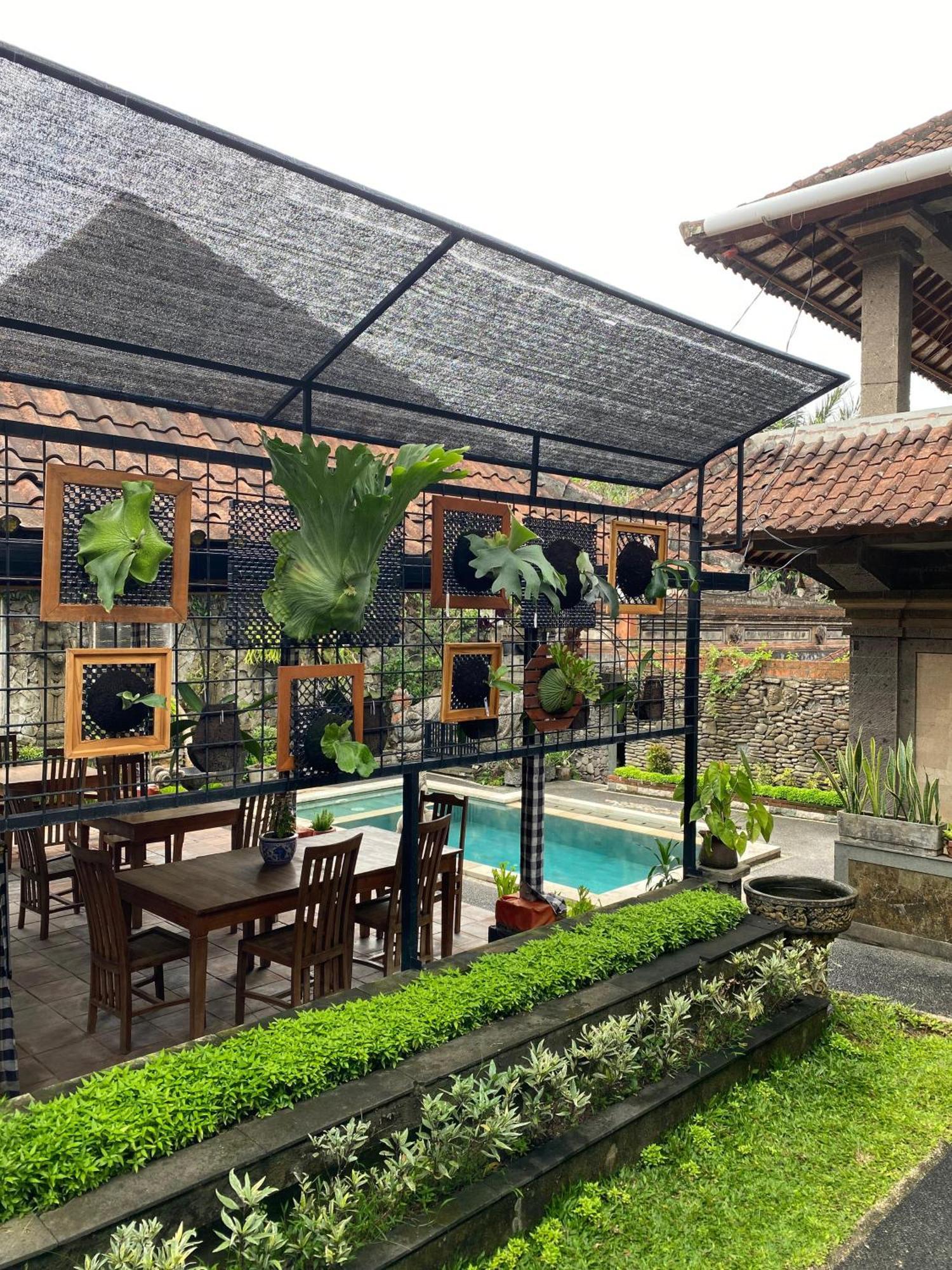 Budi Ubud (Bali)