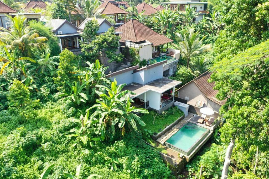 #b Vishnu - Jungle Retreat Ubud (Bali)
