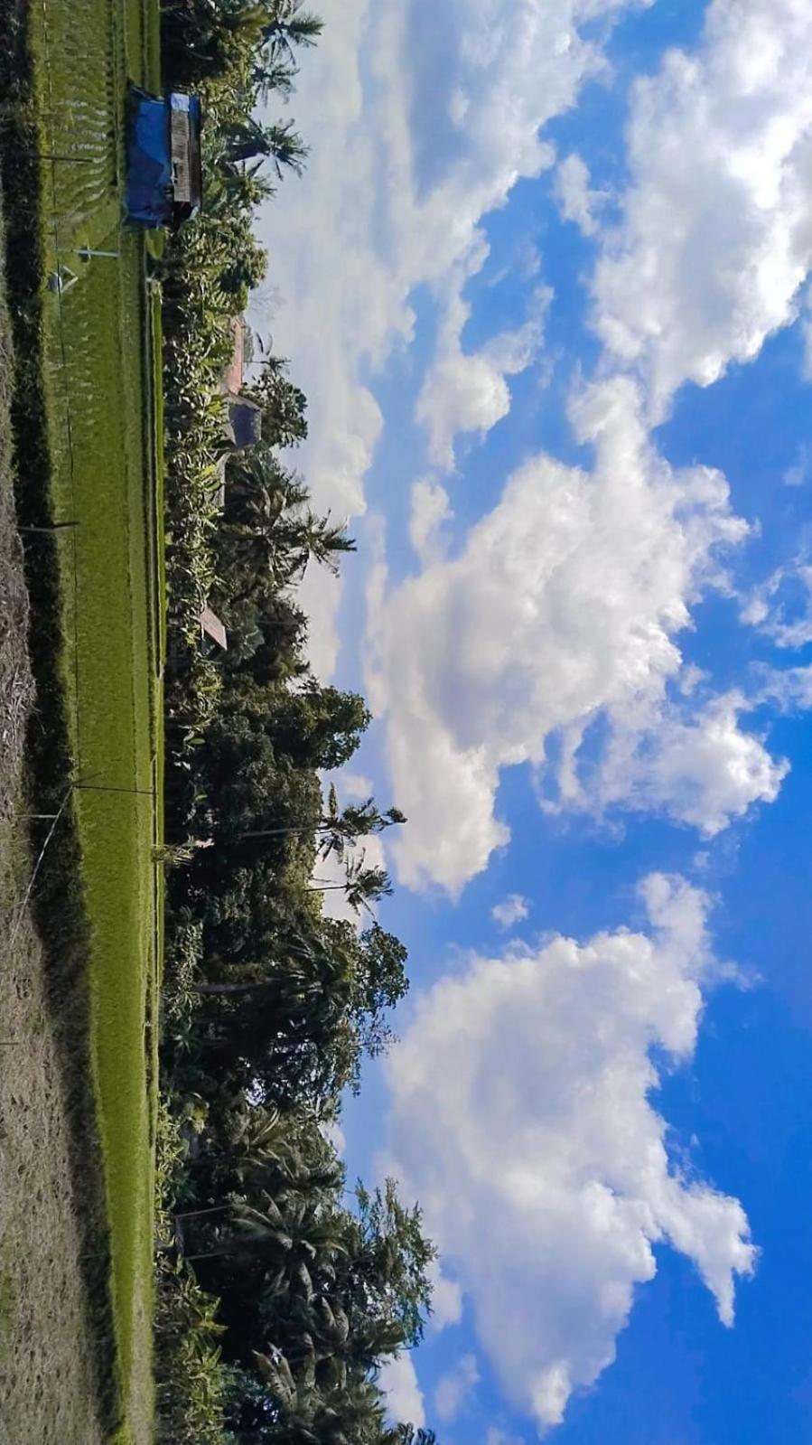 Villa Loji *