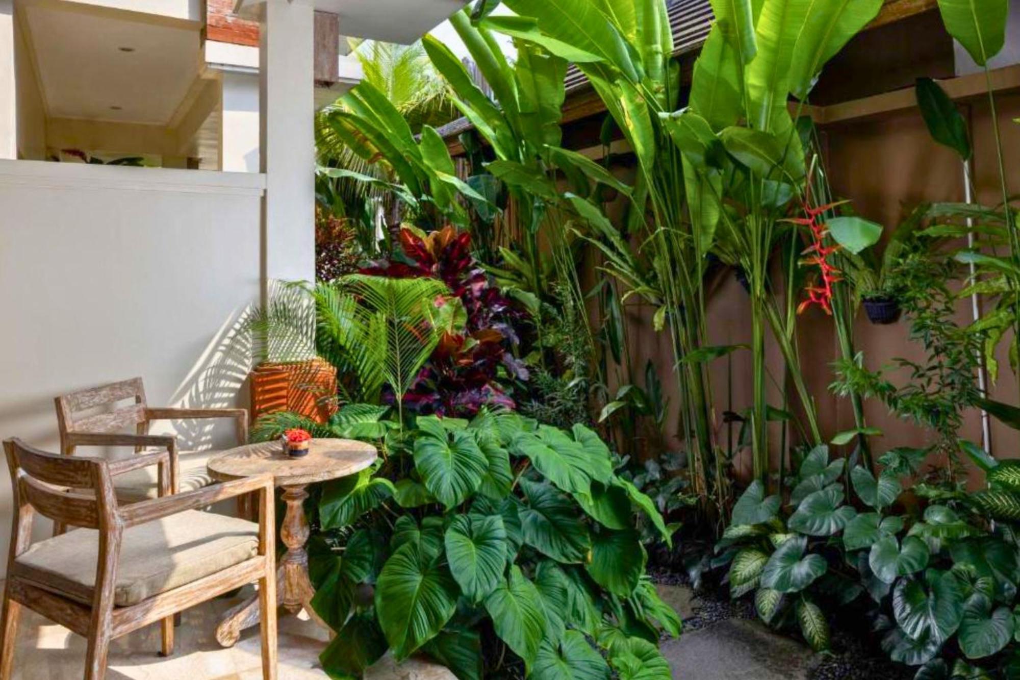 Apartment Zyandru 1 Bedroom Deluxe Garden View Zn175