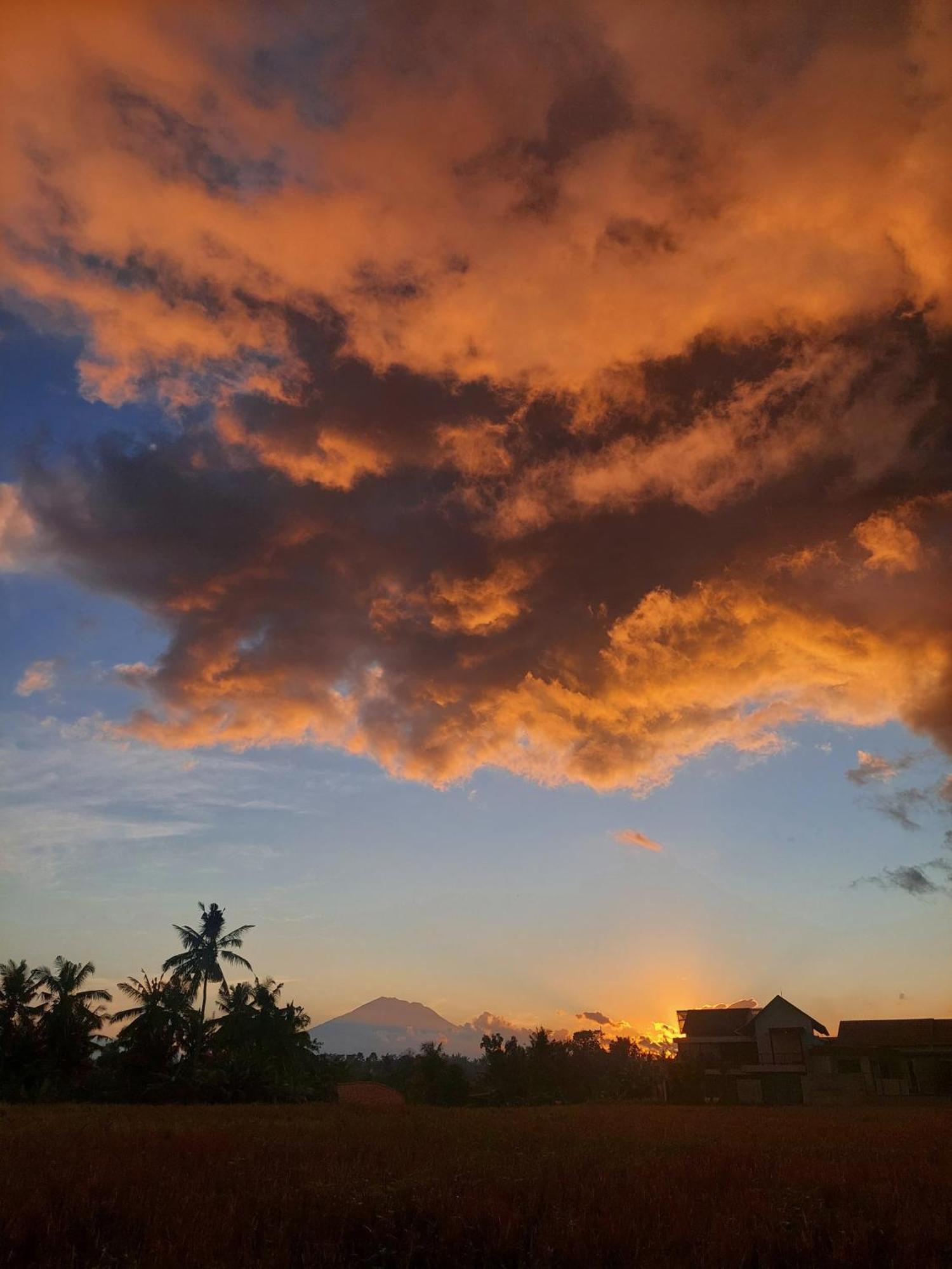 Crystal House Homestay Ubud (Bali)