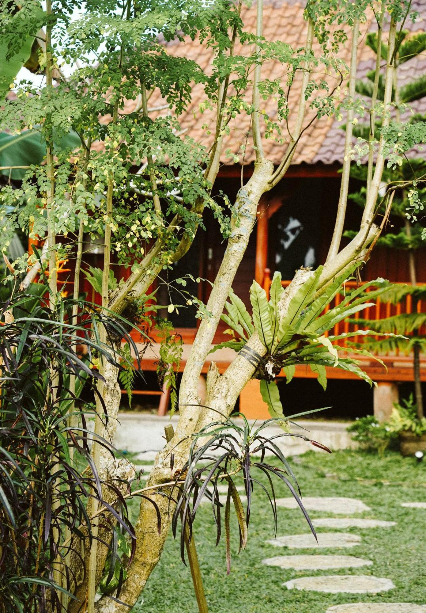 Guest house Teba One Ubud (Bali)