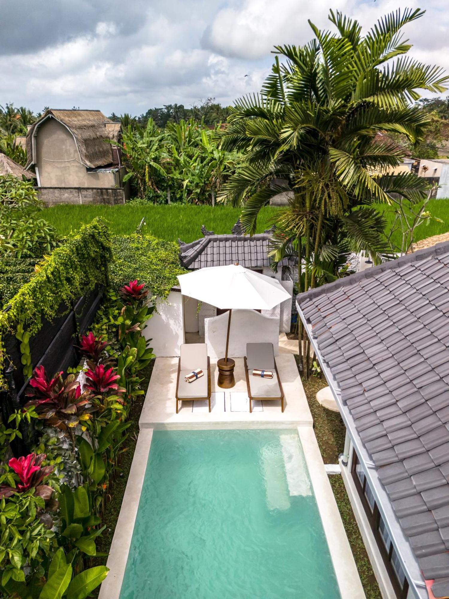 Moonlight Evdekimi - Stylish 2br Escape With Tropical Garden And Pool - Long Extras Ubud