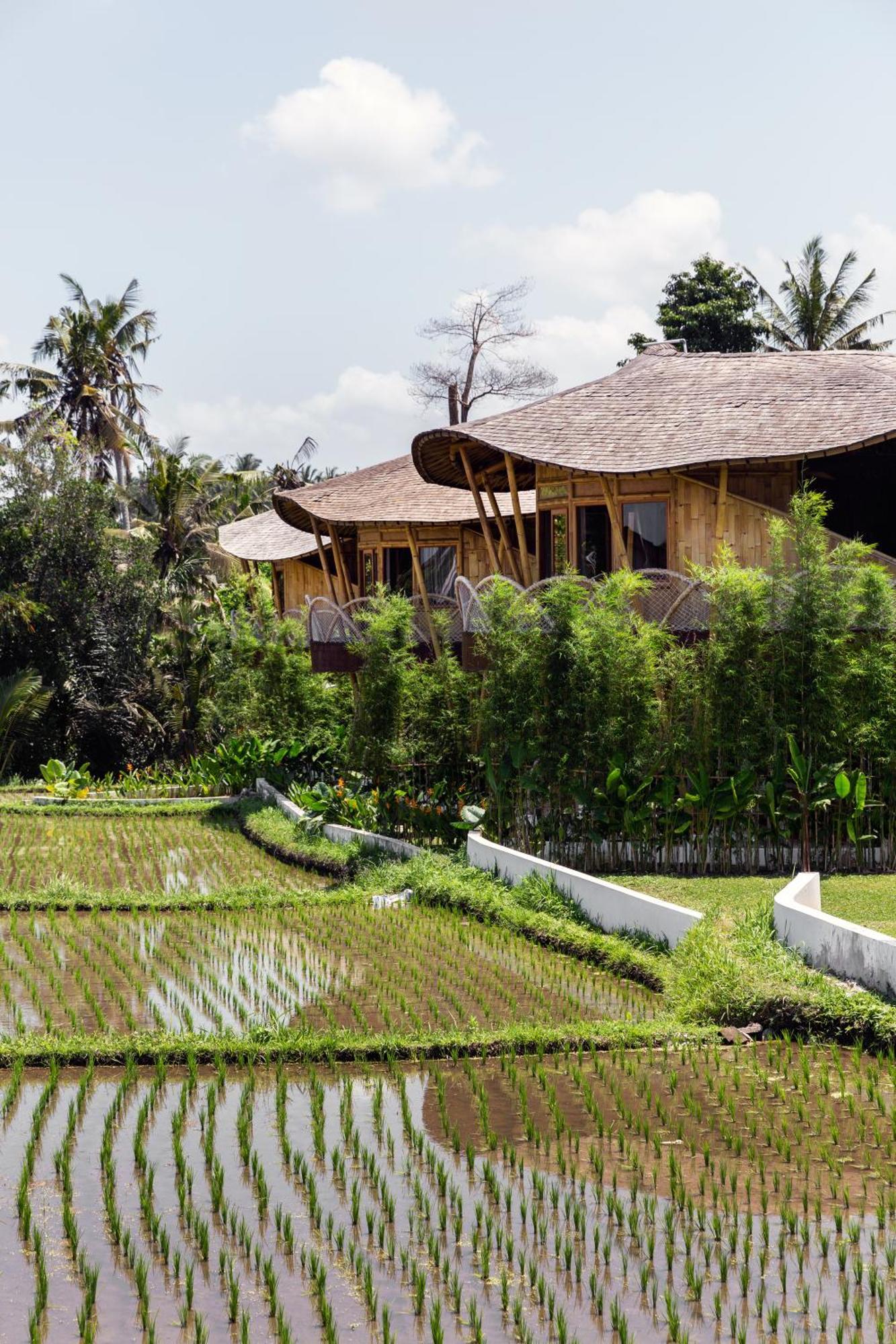 Clan Living - The Lovers Private Ubud (Bali)