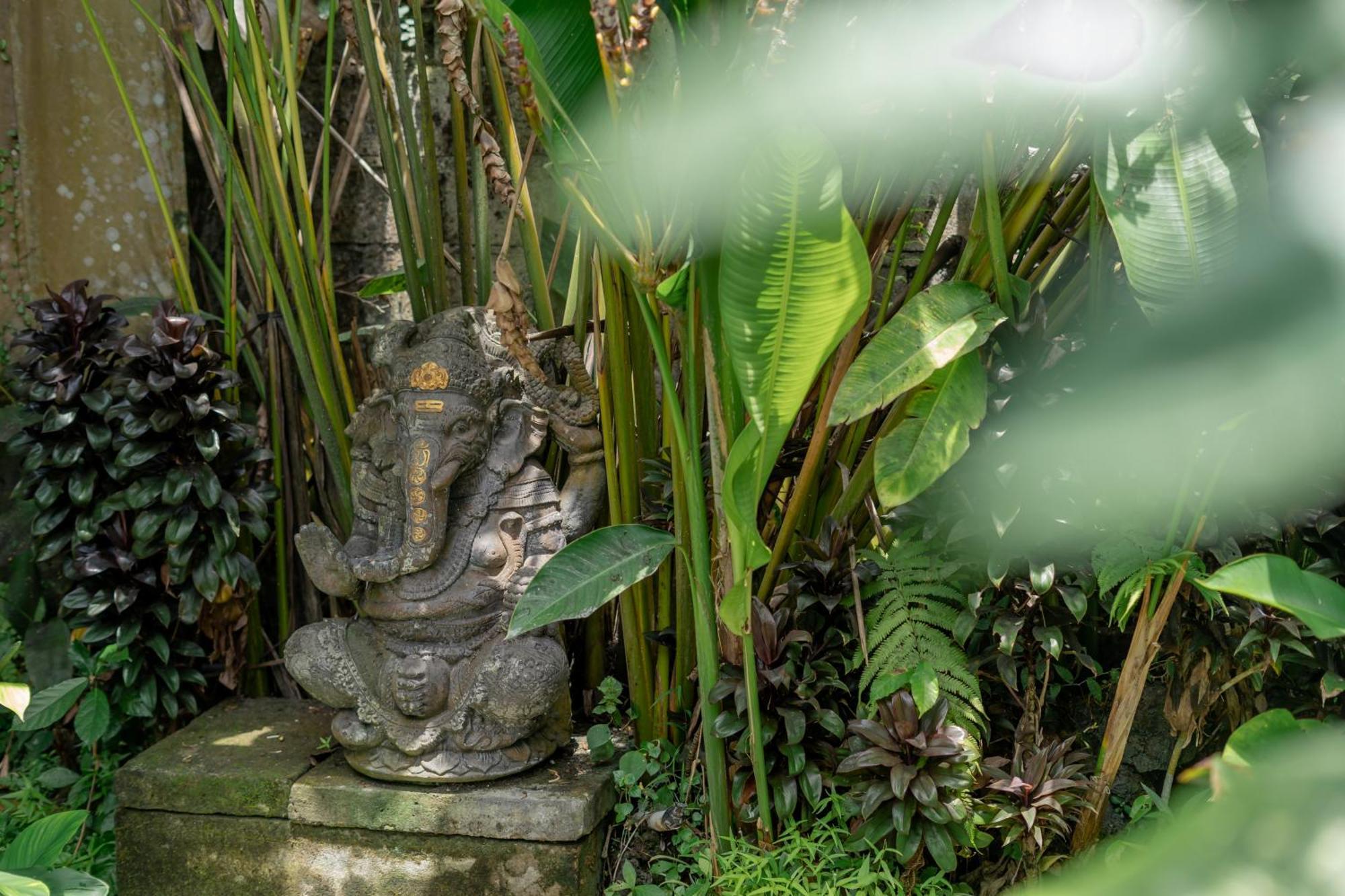 Villa Manas Entire 2 Bedr -- Private Jungle Pool -- 5 Min