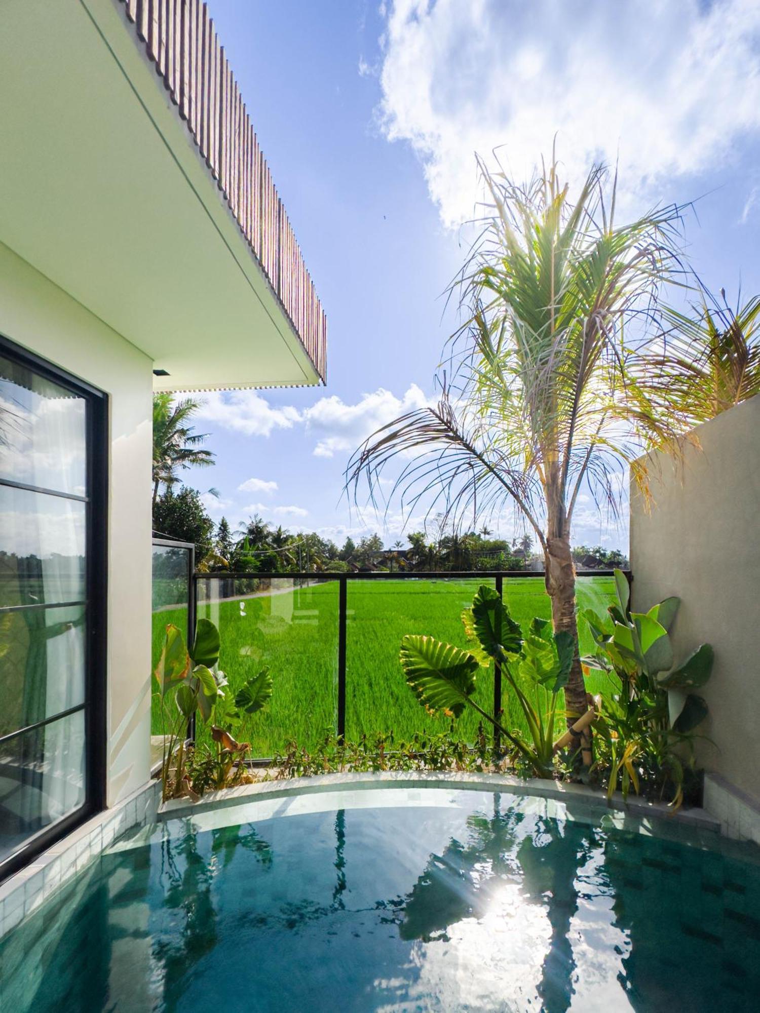 Villa Nasha Stana - Ricefields View Ubud (Bali)