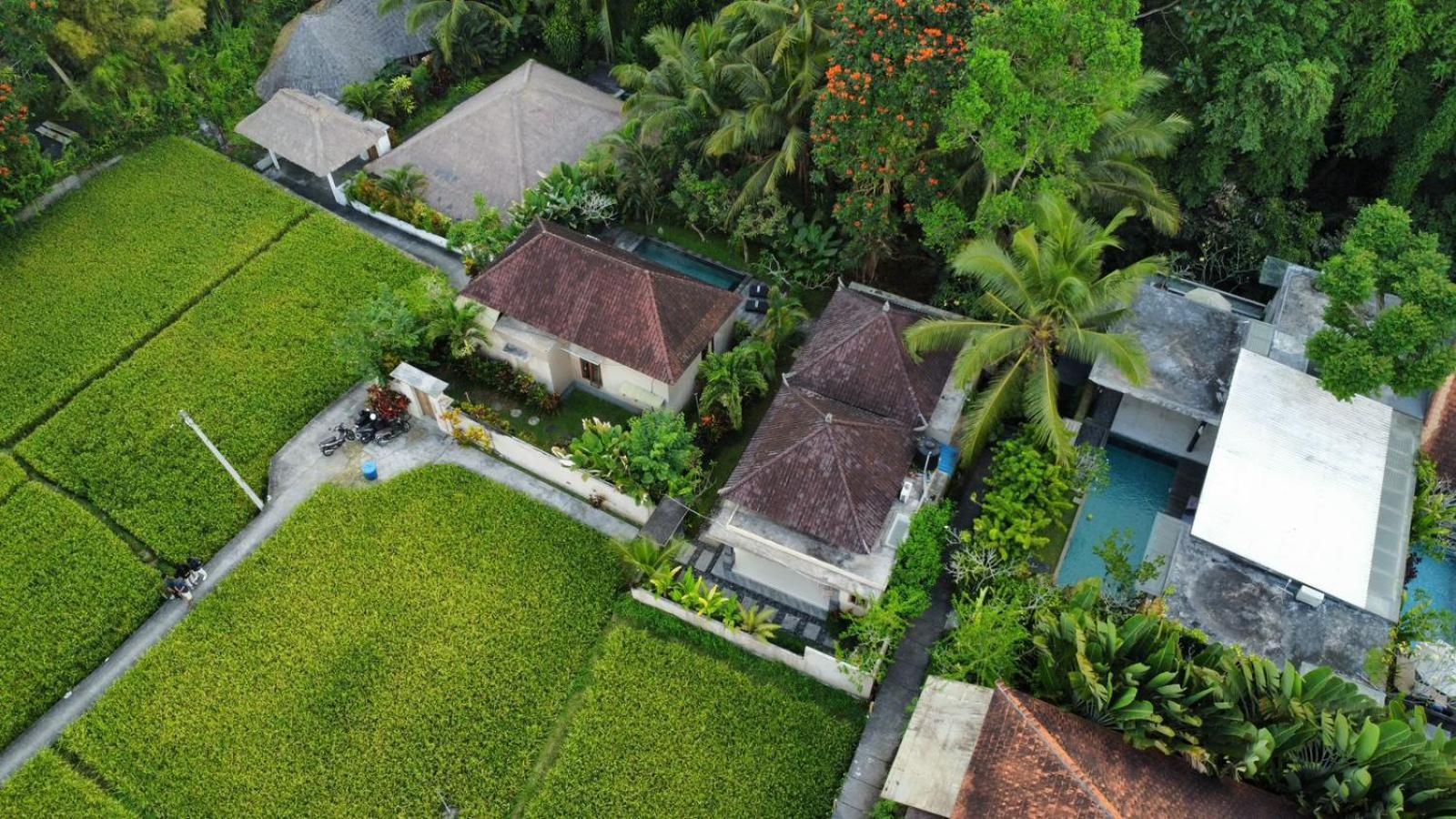 Antira Private Villa Ubud (Bali)