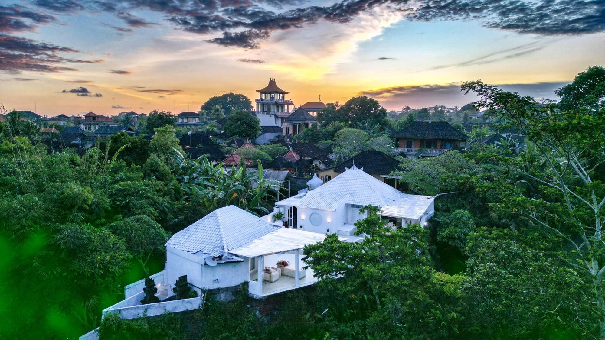Exclusive 3br Celebrity - Ice Bath - Sauna - Jacuzzi - Outdoor Gym - Bbq - Stunning Rice Field & Jungle Views Villa Ubud (Bali)