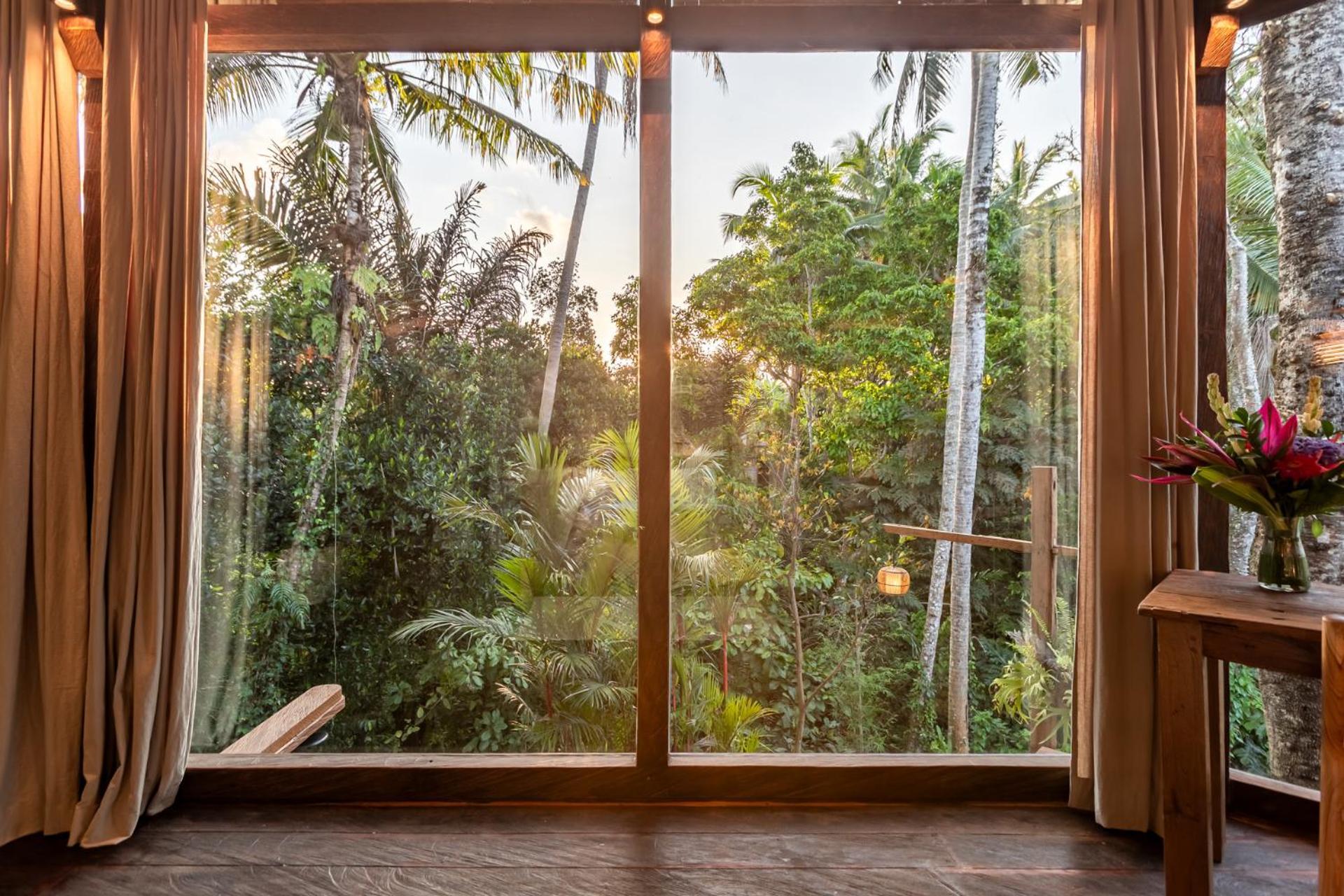 Casa Pohon