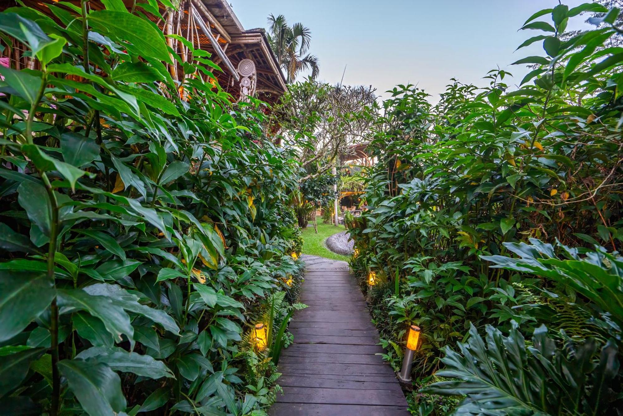 Akasha New Earth Haven Ubud (Bali)