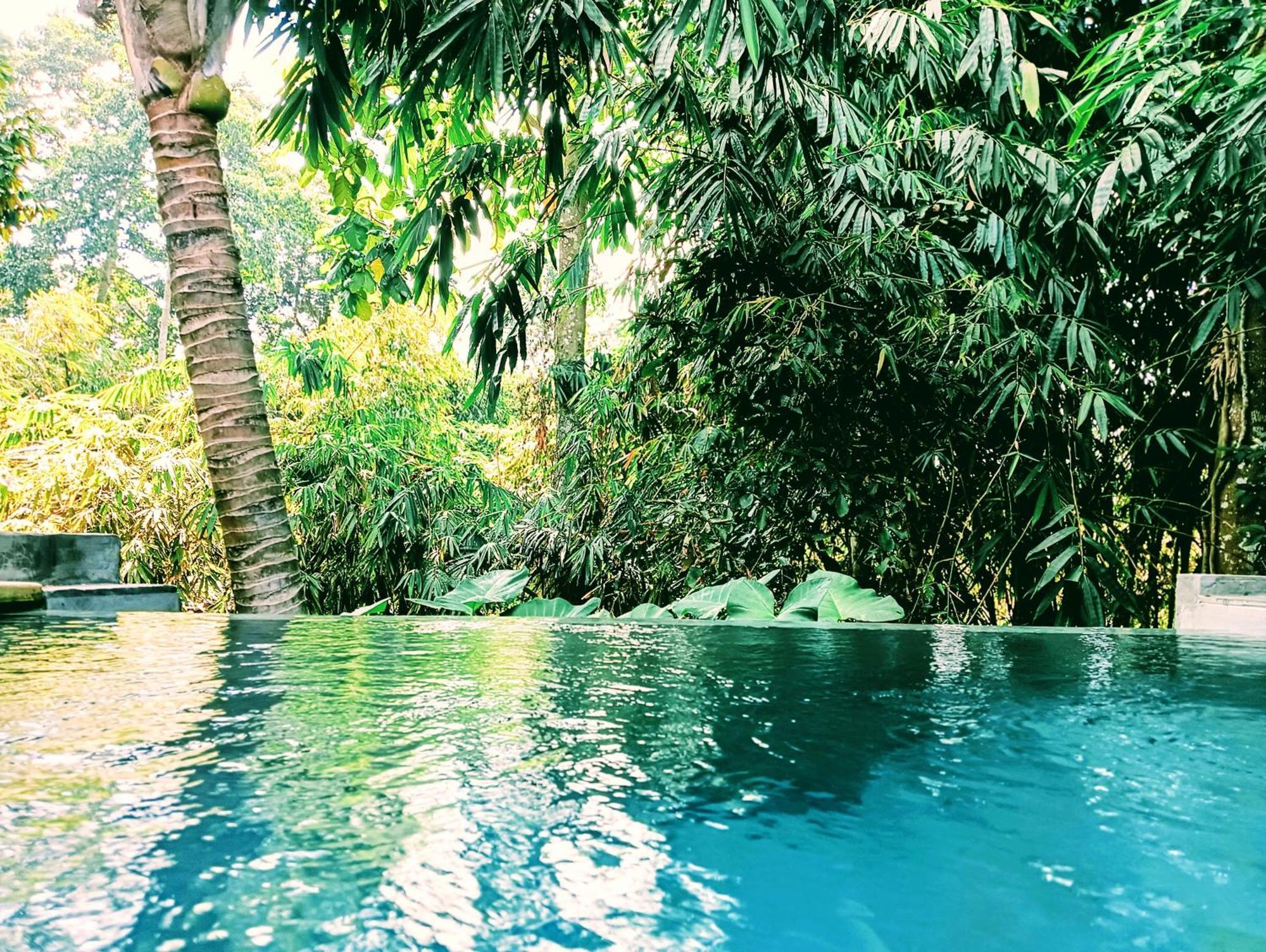 Guest house Ngesil Private Joglo & Pool