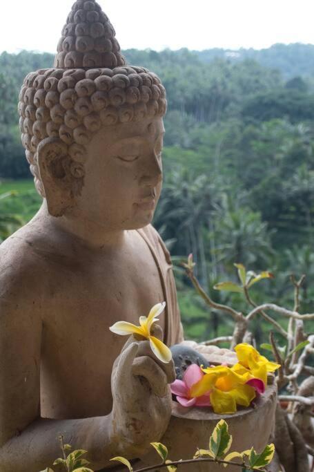 Heaven View 2 Bedroom Sayan Villa Ubud (Bali)