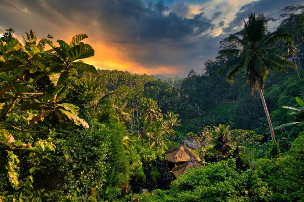 Heaven View 2 Bedroom Sayan Villa *