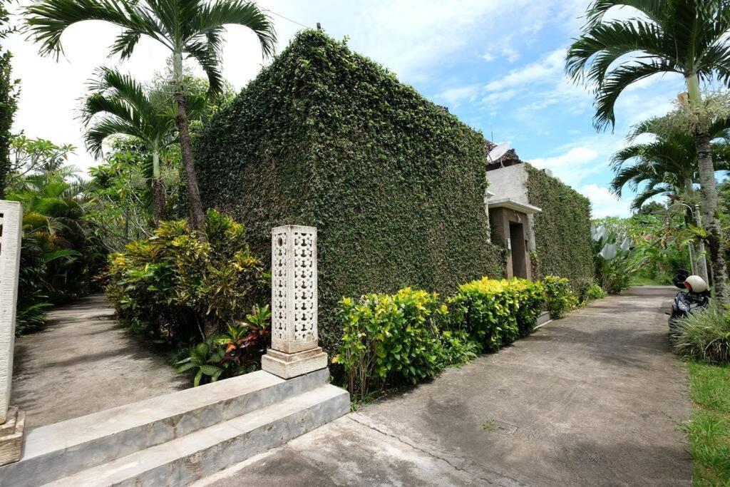 Villa Canikaya #2 Ubud (Bali)