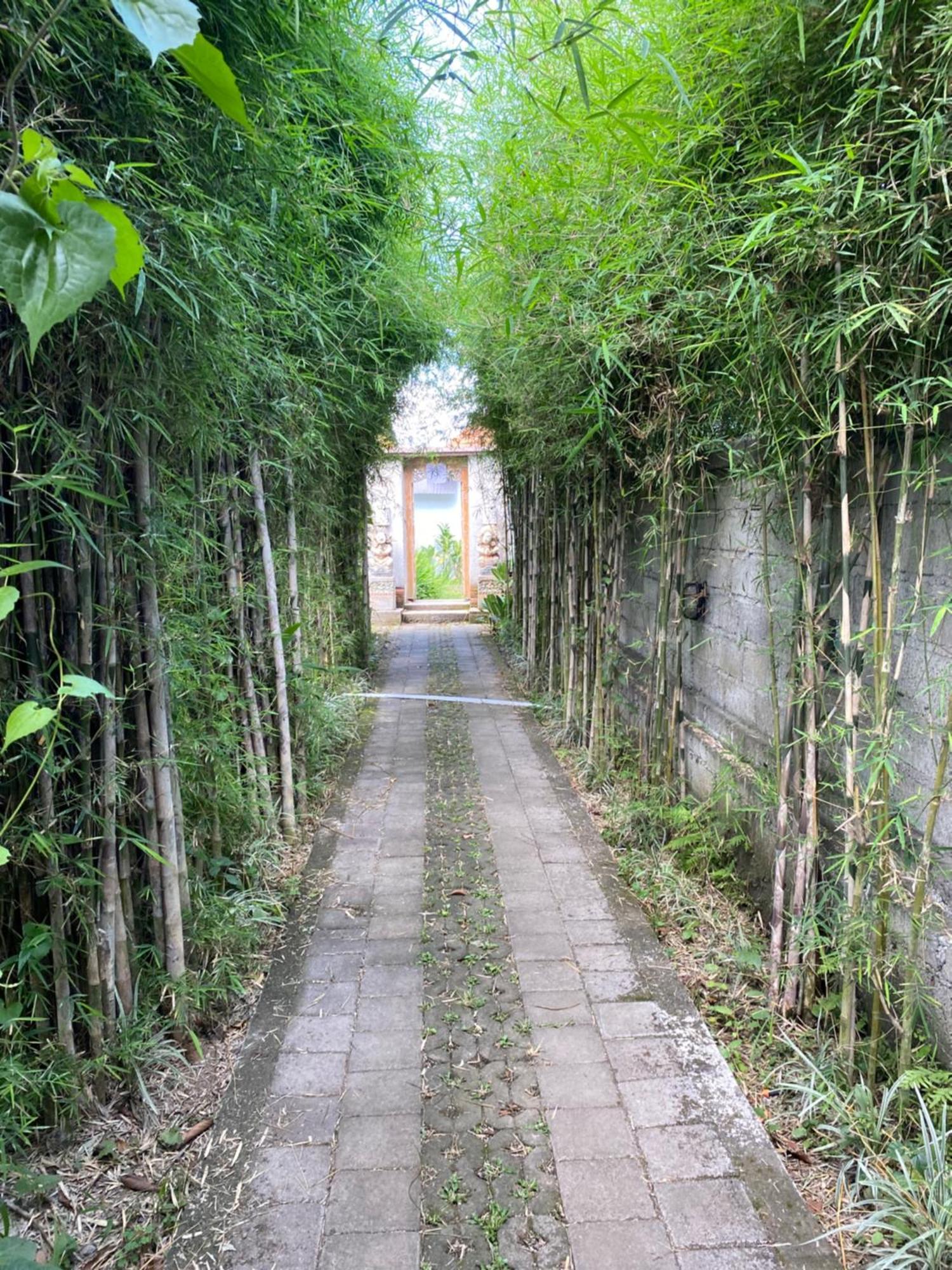 Tepiuma House Ubud (Bali)