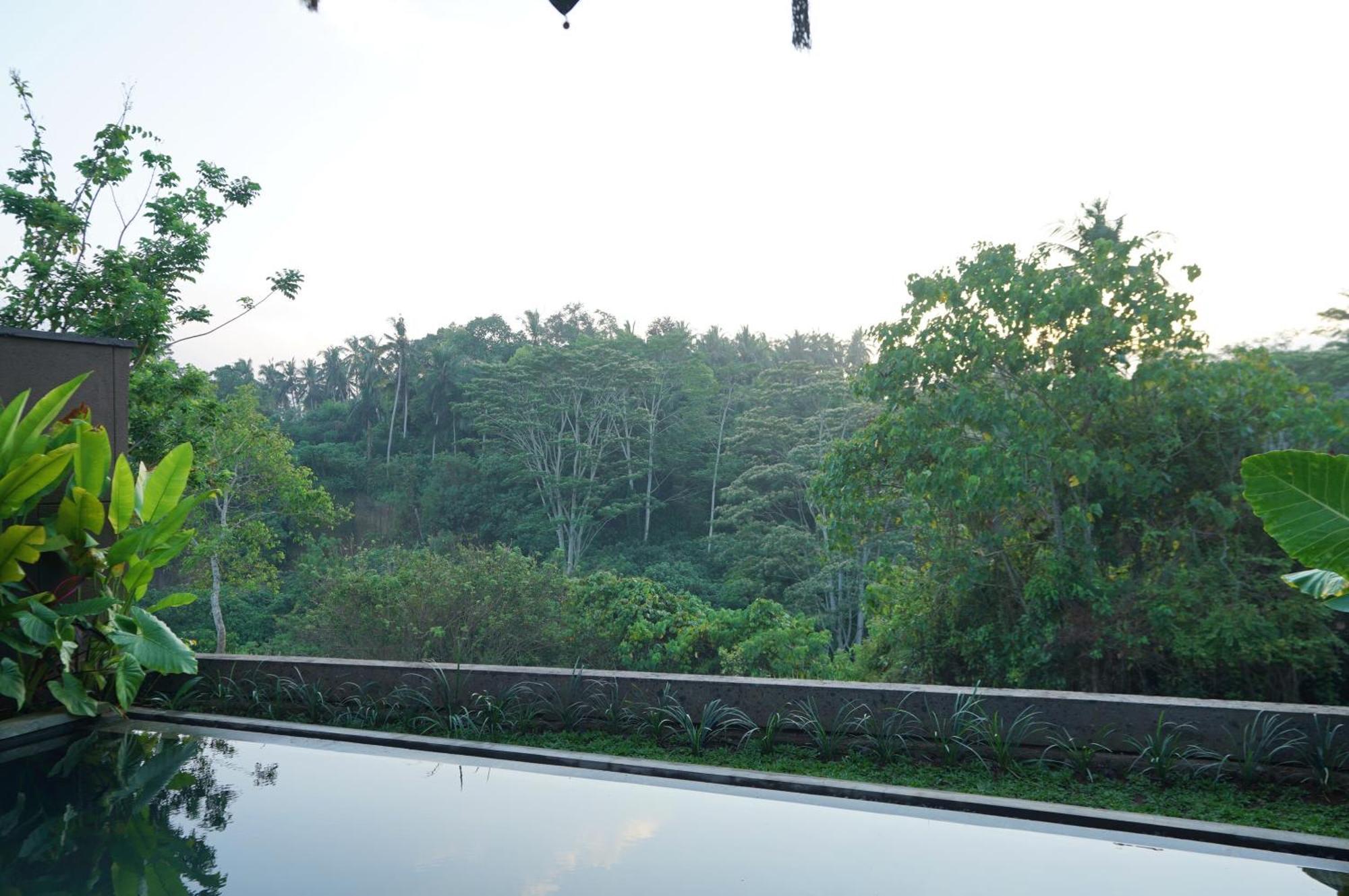Hotel The Shanti Graha Ubud