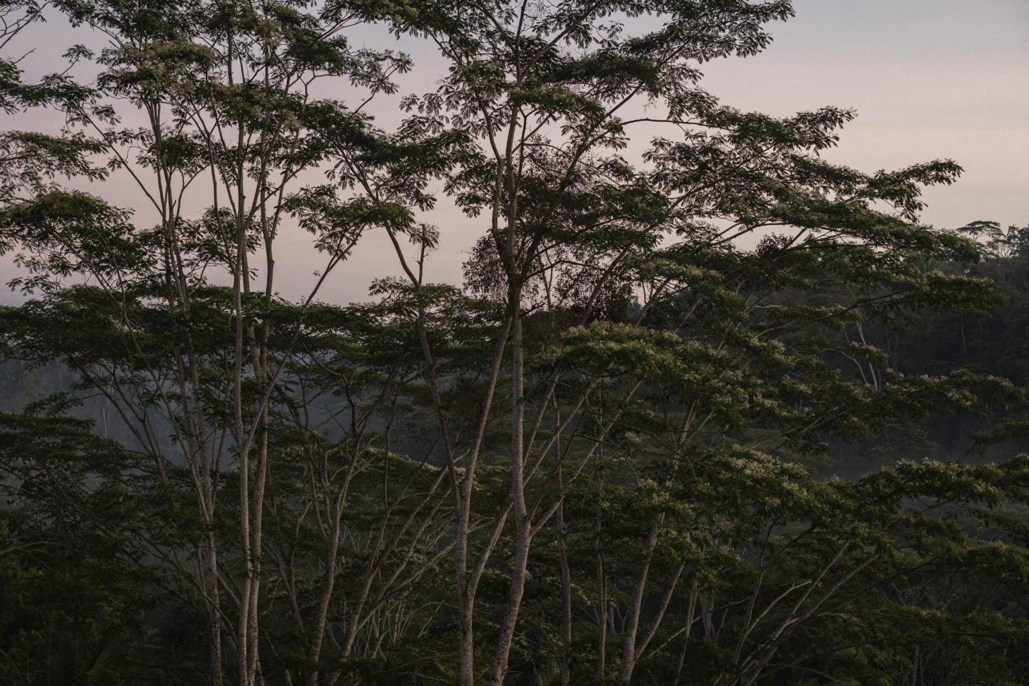 Belalu Bali Boutique & Experience