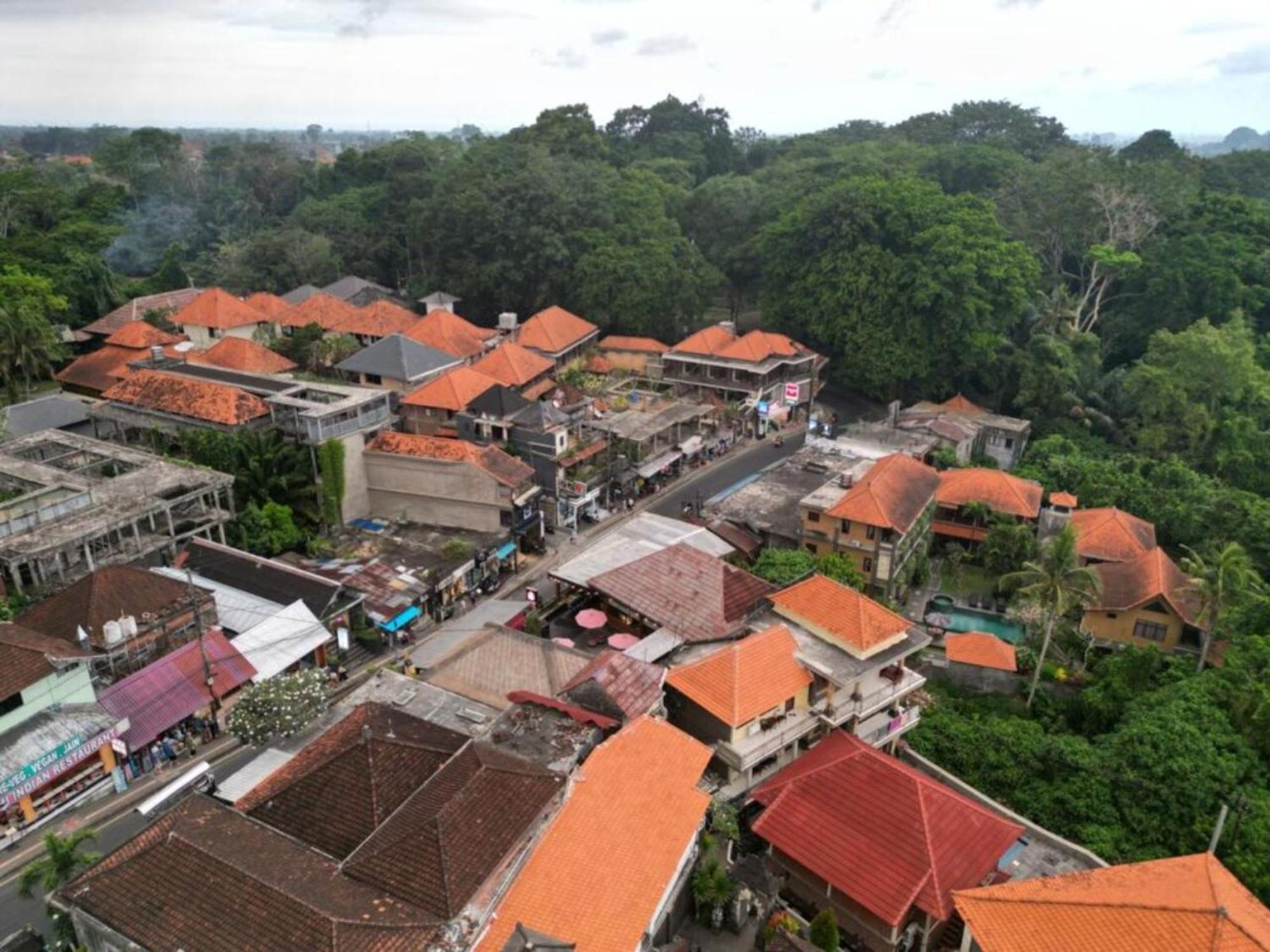 Ariani *