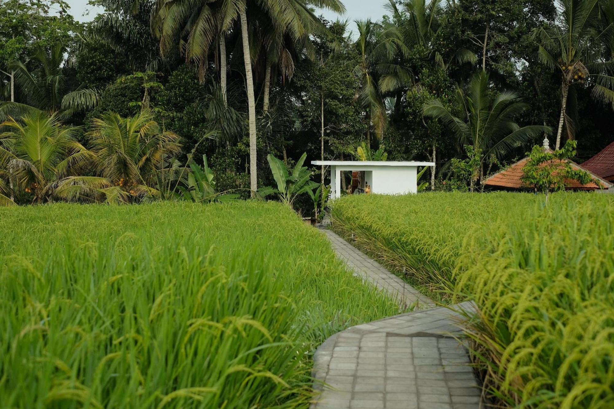 Villa Anantra Bali Eco